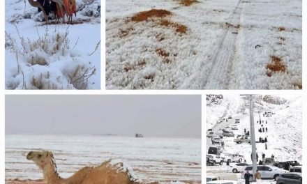DESIERTO DE ARABIA SAUDITA SE CUBRE DE NIEVE POR PRIMERA VEZ EN SU HISTORIA