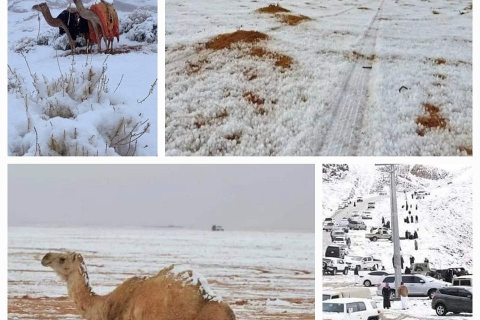 DESIERTO DE ARABIA SAUDITA SE CUBRE DE NIEVE POR PRIMERA VEZ EN SU HISTORIA