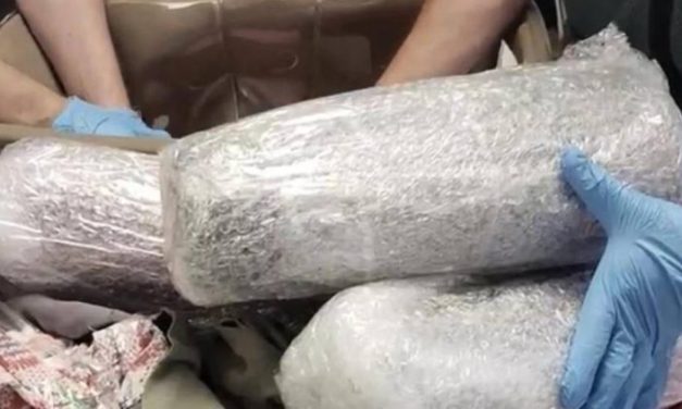 BOLIVIA Y ESPAÑA DETIENEN A SIETE PERSONAS POR DROGA