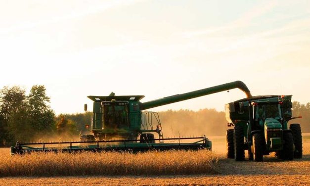 GOBIERNO AUTORIZA SEMILLA DE SOYA MODIFICADA HB4 Y DIÉSEL PARA PRODUCTORES