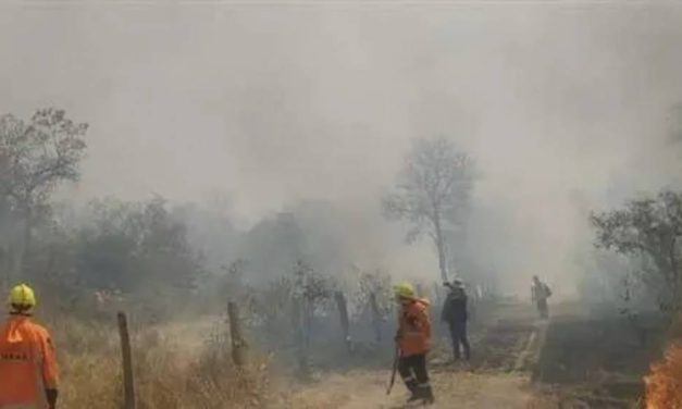 SANTA CRUZ ESTA LIBRE DE INCENDIOS FORESTALES