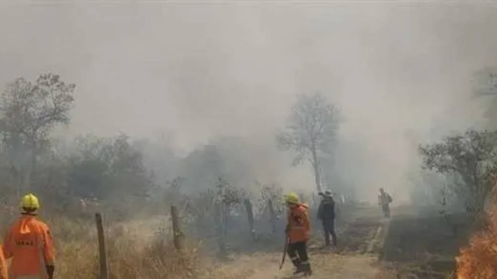 SANTA CRUZ ESTA LIBRE DE INCENDIOS FORESTALES