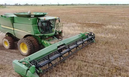 FALTA DE DIÉSEL AMENAZA LA SIEMBRA DE 1.200.000 HECTÁREAS DE SOYA PARA EL 2025