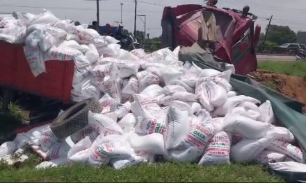 CAMIÓN CARGADO CON AZÚCAR SUFRE SE ENCUNETA PARA EVITAR CHOCAR