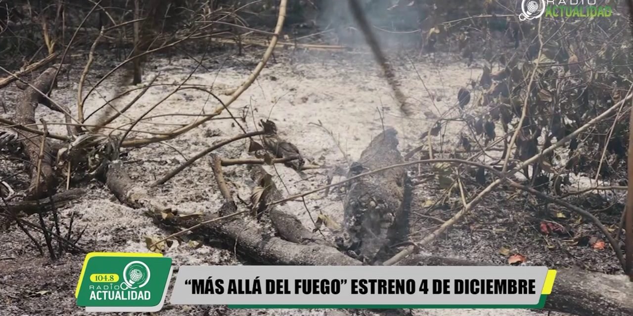 «MÁS ALLÁ DEL FUEGO» LLEGA PARA CONCIENTIZAR SOBRE INCENDIOS FORESTALES