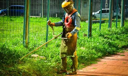 EMACRUZ INTENSIFICA LABORES DE MANTENIMIENTO DE ÁREAS VERDES