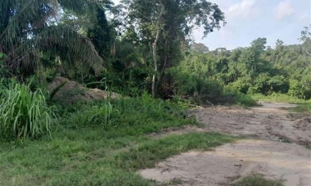 AVASALLAMIENTO ARMADO EN SAN FERNANDO TRAS INTERVENCIÓN POLICIAL EN SANTA RITA