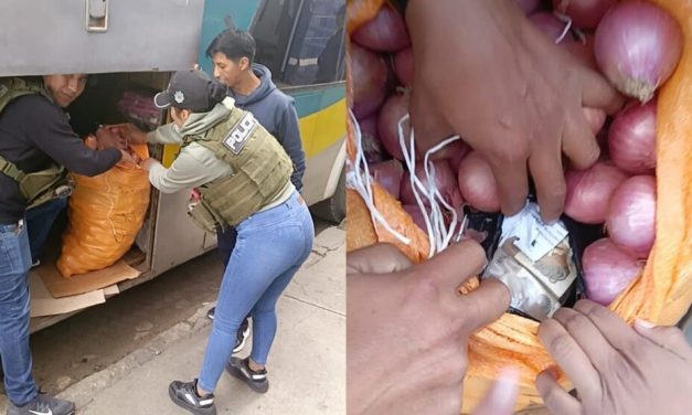 APREHENDEN A HOMBRE QUE LLEVABA MÁS DE BS 2 MILLONES OCULTOS EN CARGA DE CEBOLLA