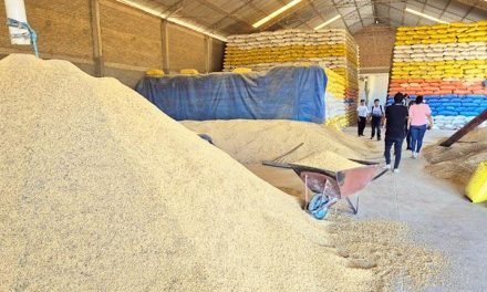 FISCALÍA INTERVIENE CINCO INGENIOS EN SANTA CRUZ Y SECUESTRA ARROZ ANTE DENUNCIA POR AGIO