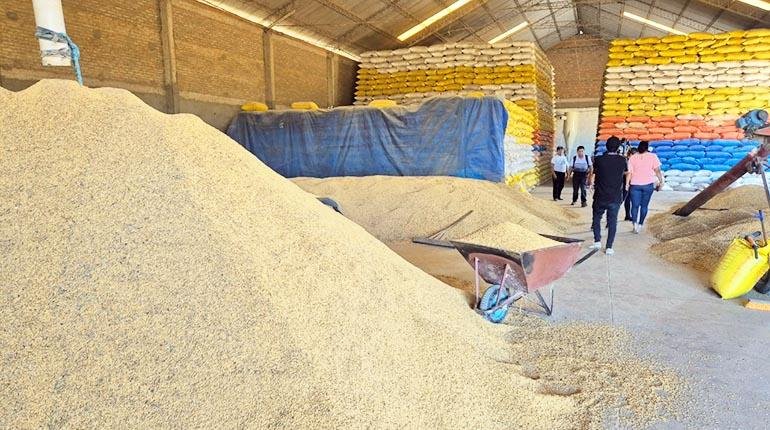 FISCALÍA INTERVIENE CINCO INGENIOS EN SANTA CRUZ Y SECUESTRA ARROZ ANTE DENUNCIA POR AGIO