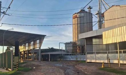 INGENIOS ARROCEROS DE SANTA CRUZ Y BENI EN PARO DE 24 HORAS