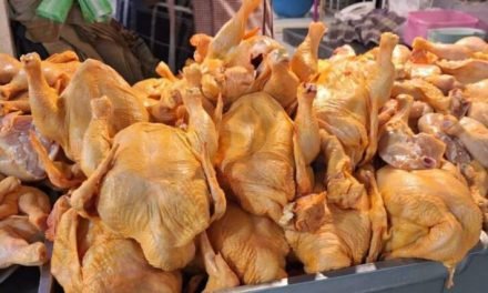 EL KILO DEL POLLO SUBE A BS 23, UN PRECIO HISTÓRICO EN FECHAS NAVIDEÑAS 