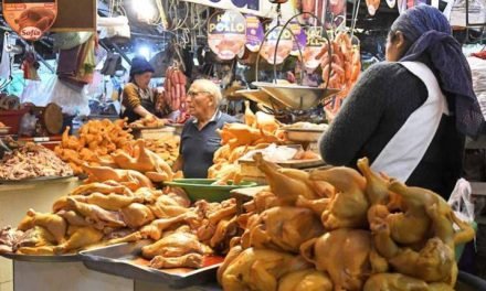 GOBIERNO ADVIERTE A AVÍCOLAS CON PROCESOS POR AGIO Y ESPECULACIÓN