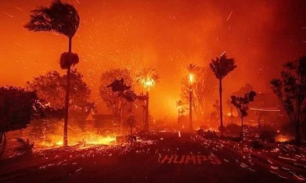 DECLARAN ESTADO DE EMERGENCIA EN LOS ÁNGELES TRAS FUERTES INCENDIOS.