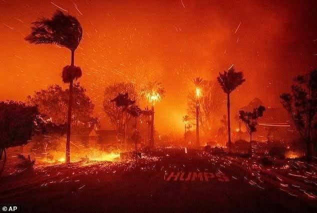 DECLARAN ESTADO DE EMERGENCIA EN LOS ÁNGELES TRAS FUERTES INCENDIOS.