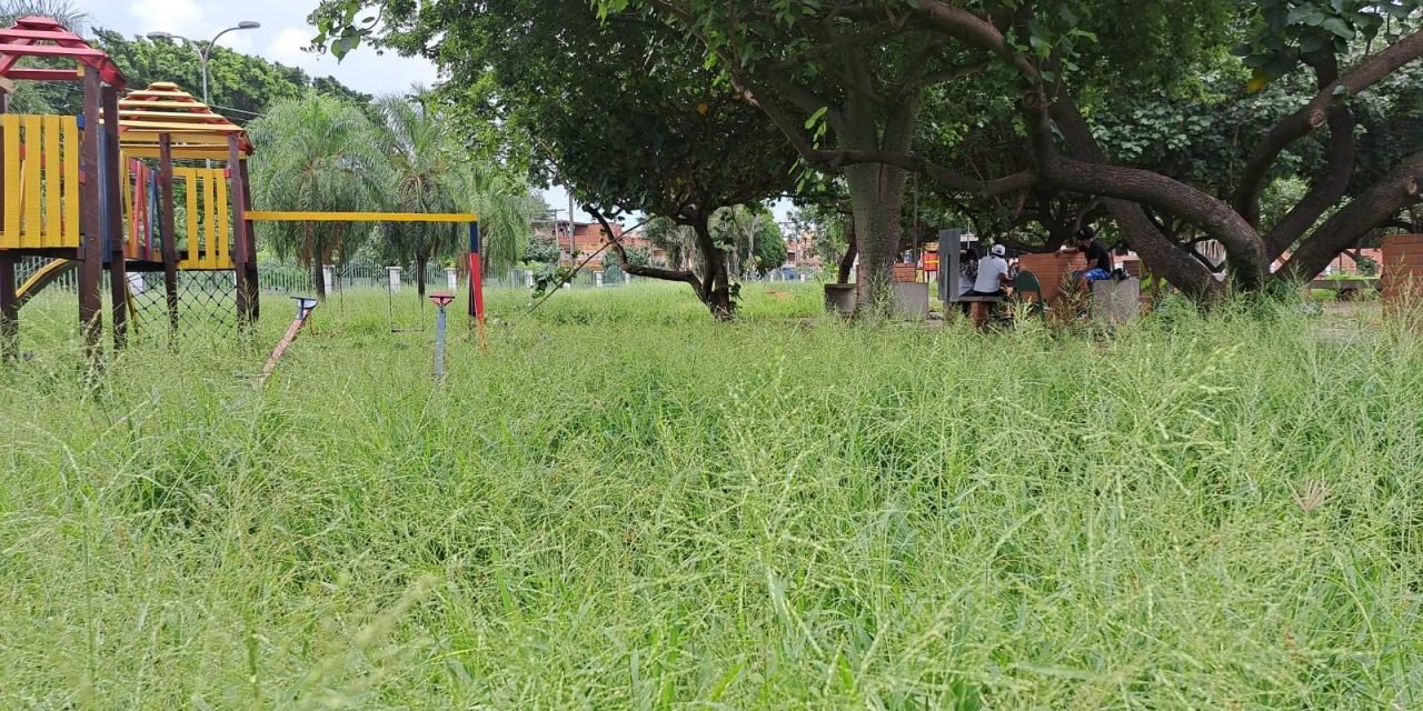 PARQUES URBANOS A PUNTO DE CONVERTIRSE EN “SELVAS”