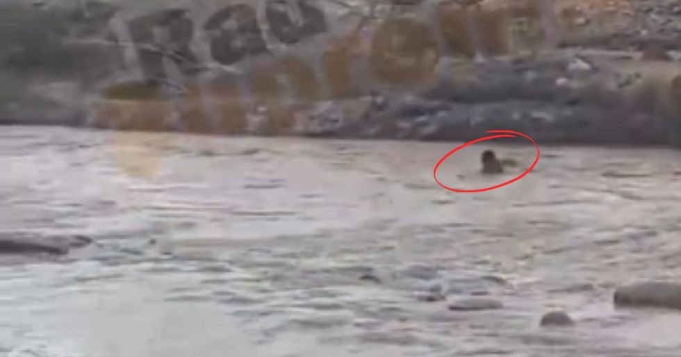 RÍO BAÑADO ARRASTRA A UN ADULTO MAYOR, PERO ESTE LOGRA SALIR