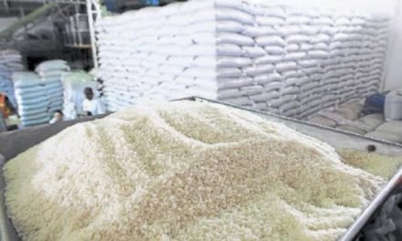 ARROCEROS VENDERÁN SU PRODUCTO DIRECTO DE LOS INGENIOS, SEGÚN EL GOBIERNO