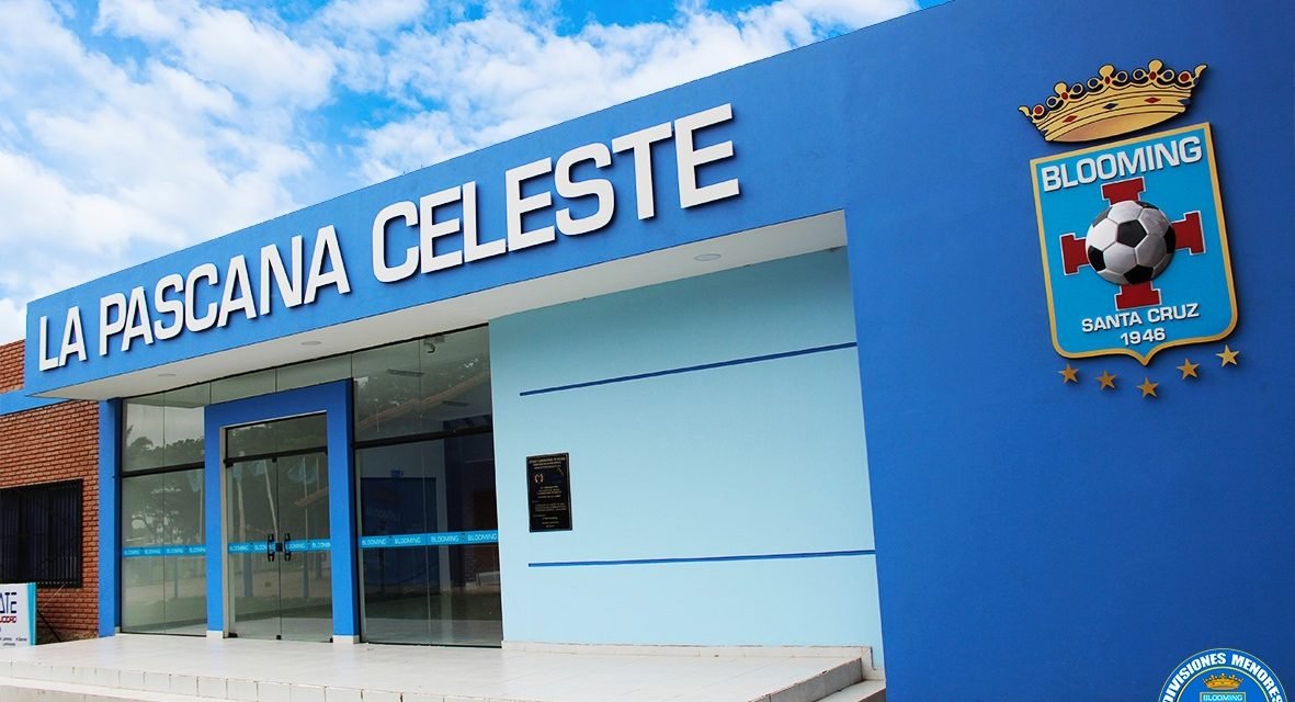 AUDITORIA DE BLOOMING REVELÓ DAÑO ECONÓMICO DE MÁS DE 6 MILLONES DE DÓLARES