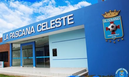 AUDITORIA DE BLOOMING REVELÓ DAÑO ECONÓMICO DE MÁS DE 6 MILLONES DE DÓLARES