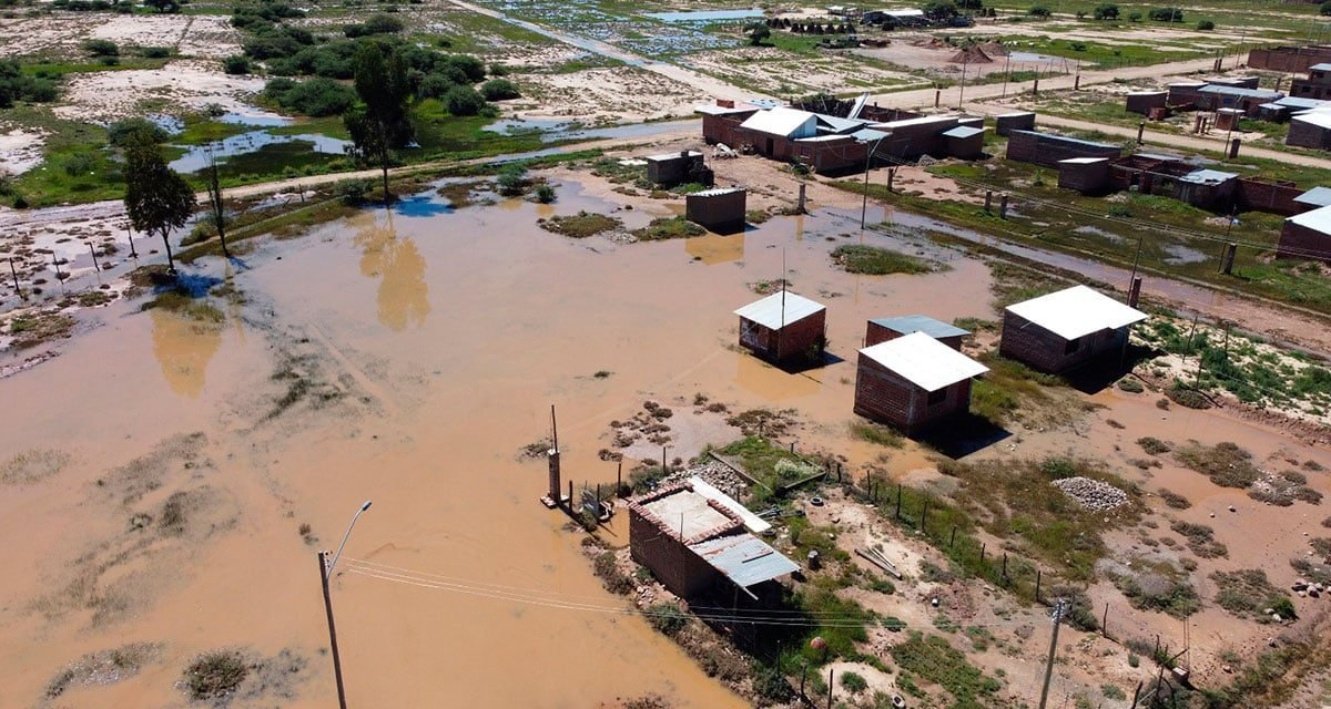 CULTIVOS DE MAÍZ, ALFALFA Y PAPA ESTÁN INUNDADOS EN COCHABAMBA