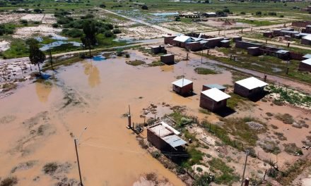 CULTIVOS DE MAÍZ, ALFALFA Y PAPA ESTÁN INUNDADOS EN COCHABAMBA