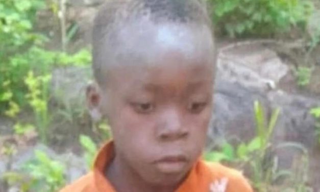 UN NIÑO DE 8 AÑOS SOBREVIVIÓ 5 DÍAS PERDIDO EN UNA PARQUE LLENO DE LEONES
