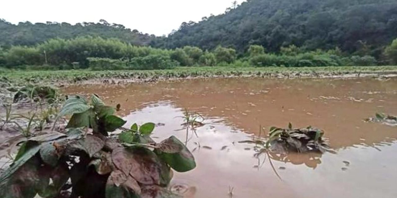 DESBORDE DE RÍO DAÑA CULTIVOS Y VÍAS CAMINERAS EN QUIRUSILLA