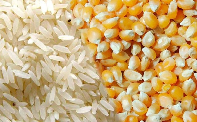 GOBIERNO APRUEBA DECRETO SUPREMO QUE AUTORIZA LA SUBVENCIÓN DE SIETE PRODUCTOS