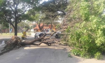 ALERTA NARANJA POR FUERTES VIENTOS EN SANTA CRUZ
