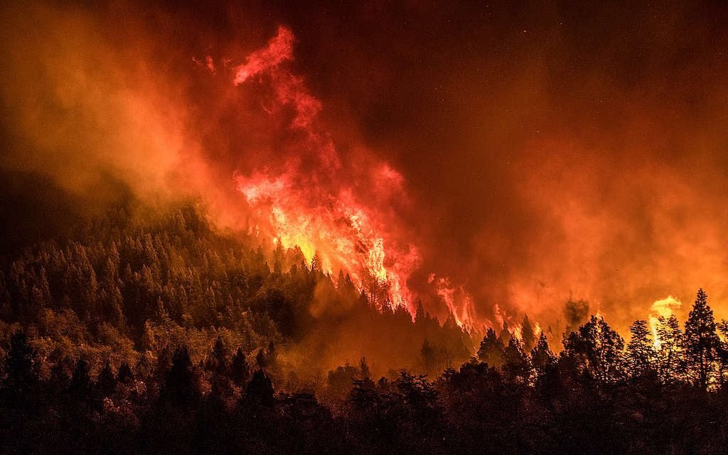 INCENDIOS FORESTALES EN EL SUR DE ARGENTINA ARRASARON CON CASI 40.000 HECTÁREAS