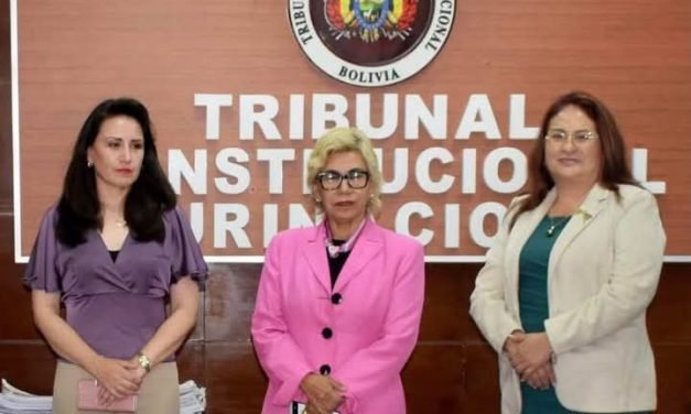TRIBUNAL CONSTITUCIONAL REALIZA EL PRIMER SORTEO DE CAUSAS DE LA GESTIÓN 2025