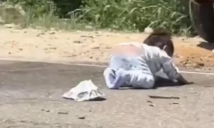 UNA BEBÉ SOBREVIVE DE MILAGRO A UN ACCIDENTE DE TRÁNSITO EN EL TRÓPICO