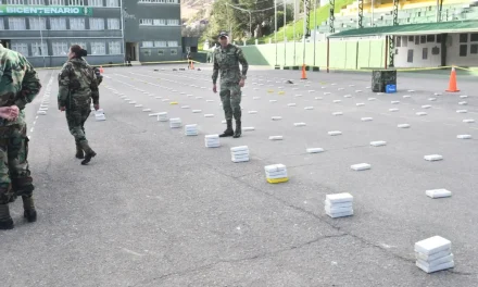 DECOMISAN CAMIÓN CON CASI MEDIA TONELADA DE DROGA CUYO DESTINO ERA ARGENTINA