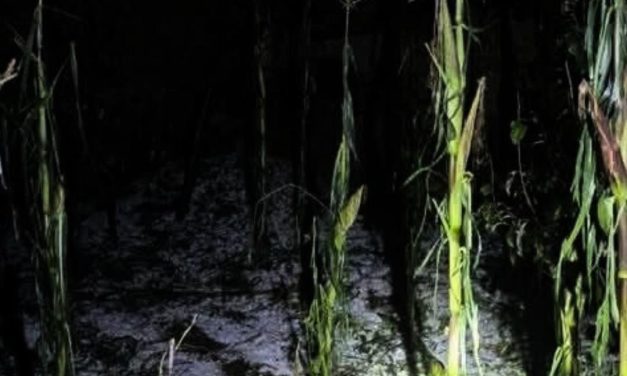FUERTE GRANIZADA EN COMUNIDADES DE CHUQUISACA
