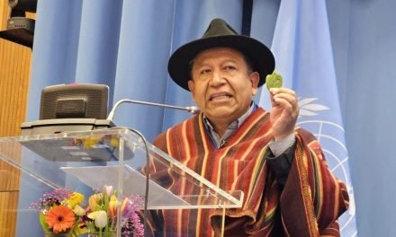 CHOQUEHUANCA DEFIENDE HOJA DE COCA ANTE LA ONU