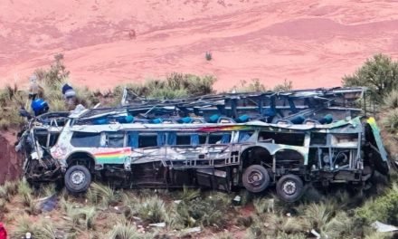 DURANTE  CARNAVAL EL IDIF ATENDIÓ 520 CASOS ENTRE INFANTICIDIOS, FEMINICIDIO Y OTROS