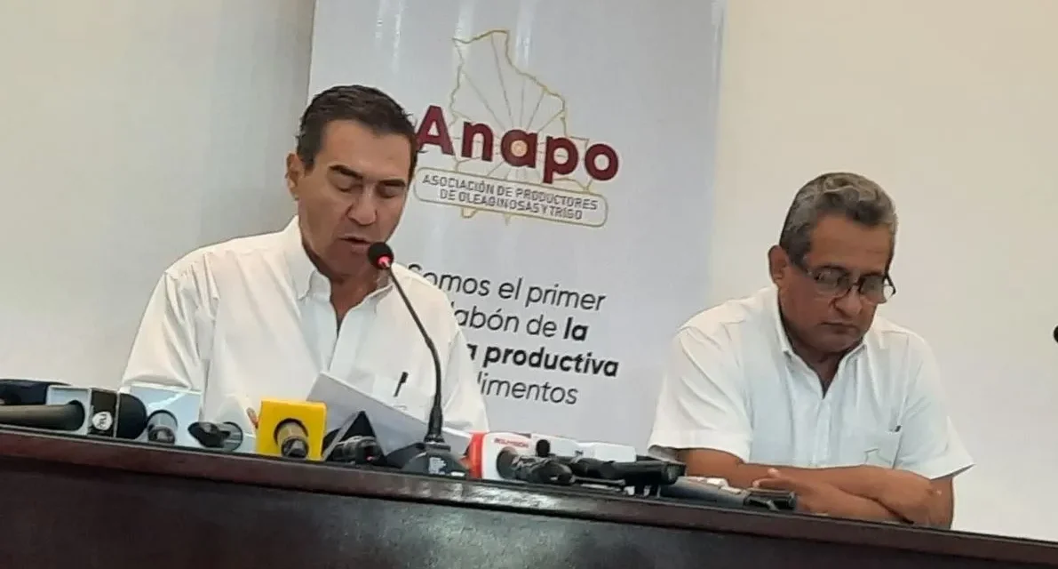 ANAPO EXIGE AL GOBIERNO RESTABLEZA “DE INMEDIATO” LA LIBRE EXPORTACIÓN DE SOYA