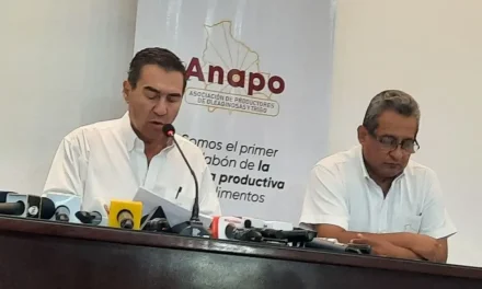ANAPO EXIGE AL GOBIERNO RESTABLEZA “DE INMEDIATO” LA LIBRE EXPORTACIÓN DE SOYA