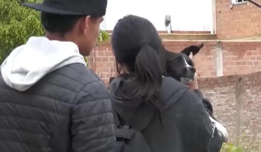 RESCATAN A ANIMALES DE LA ZONA AFECTADA POR HUNDIMIENTOS EN COCHABAMBA