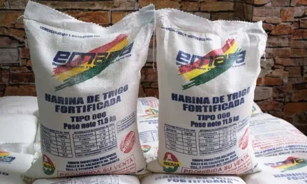 ADVIERTEN QUE LA SUBVENCIÓN DE BS 219 POR BOLSA DE HARINA ES INSOSTENIBLE