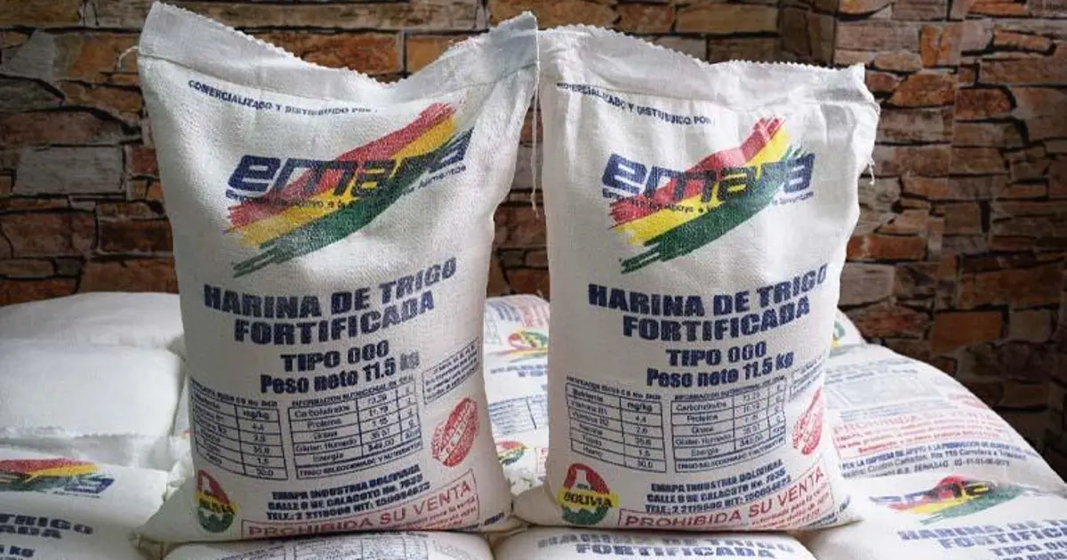 ADVIERTEN QUE LA SUBVENCIÓN DE BS 219 POR BOLSA DE HARINA ES INSOSTENIBLE