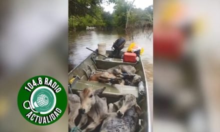 EN LANCHAS INTENTAN SALVAR GANADO EN GUARAYOS