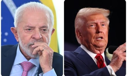 BRASIL NO PREVÉ TOMAR REPRESALIAS CONTRA LOS ARANCELES AL ACERO