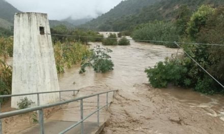 MIL FAMILAS AFECTADAS Y CULTIVOS DAÑADOS POR DESBORDE DEL RÍO EN OMEREQUE