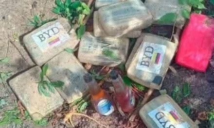 CAE AVIONETA CON SUSTANCIA TRIPULADA POR DOS BOLIVIANOS