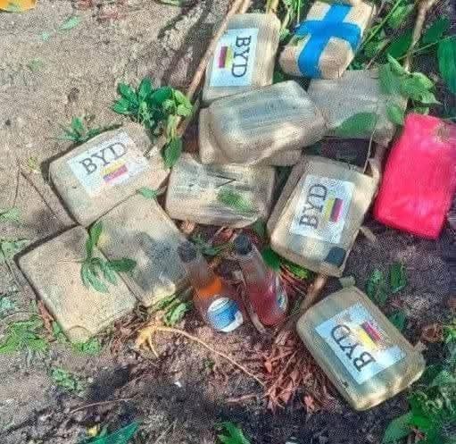 CAE AVIONETA CON SUSTANCIA TRIPULADA POR DOS BOLIVIANOS