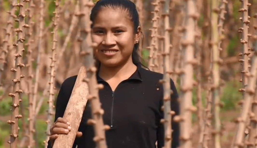 INDÍGENAS LIDERAN FORO SOBRE GESTIÓN SOSTENIBLE DEL BOSQUE