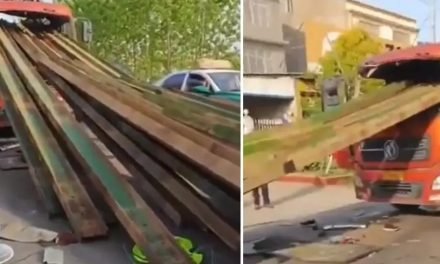 CHOFER FRENÓ DE GOLPE SU CAMIÓN Y TERMINÓ APLASTADO POR LA CARGA