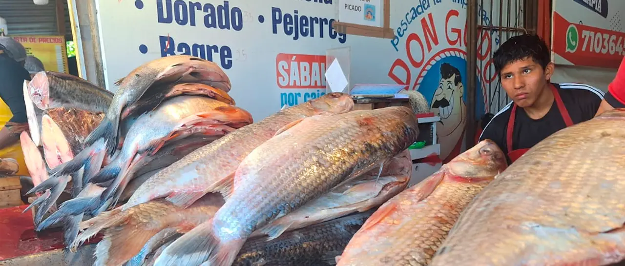 LISTA OFICIAL DE LOS PRECIOS DE PESCADOS EN ESTA SANTA CRUZ